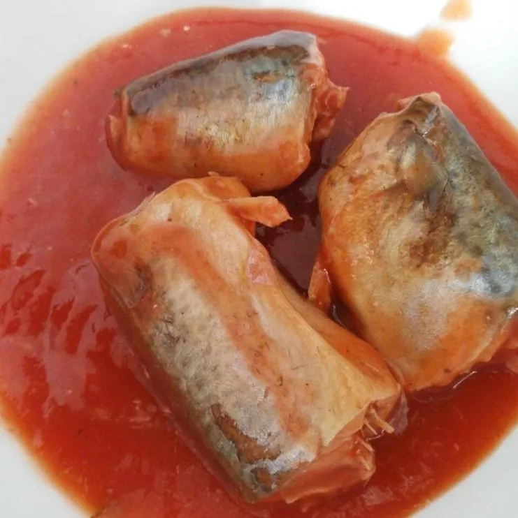 Factory  price canned fish healthy foods canned Mackerel in Tomato Sacue