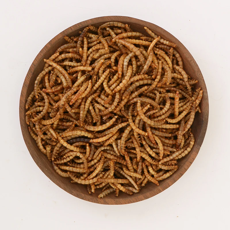 Wholesale Dry Bulk Frozen Top High Protein Dry Mealworms