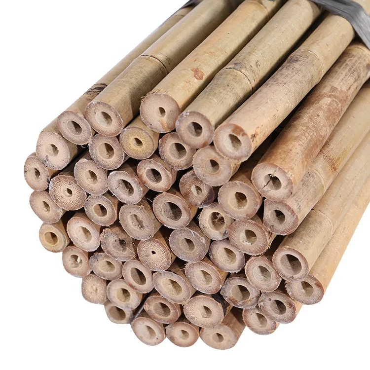 Chinese bamboo cane 300 cm,24-26mm for tree support