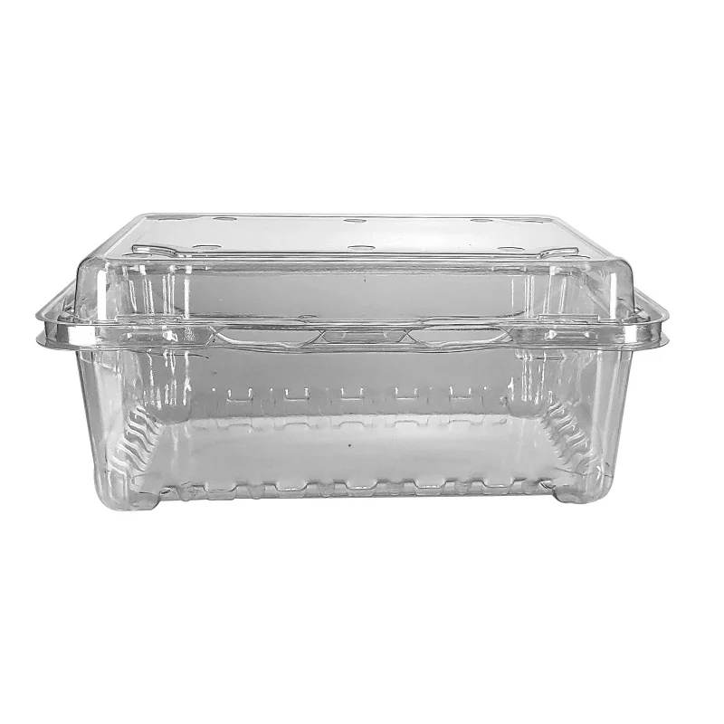 Recyclable Disposables Clear RPET Plastic Fruit Container Food Container