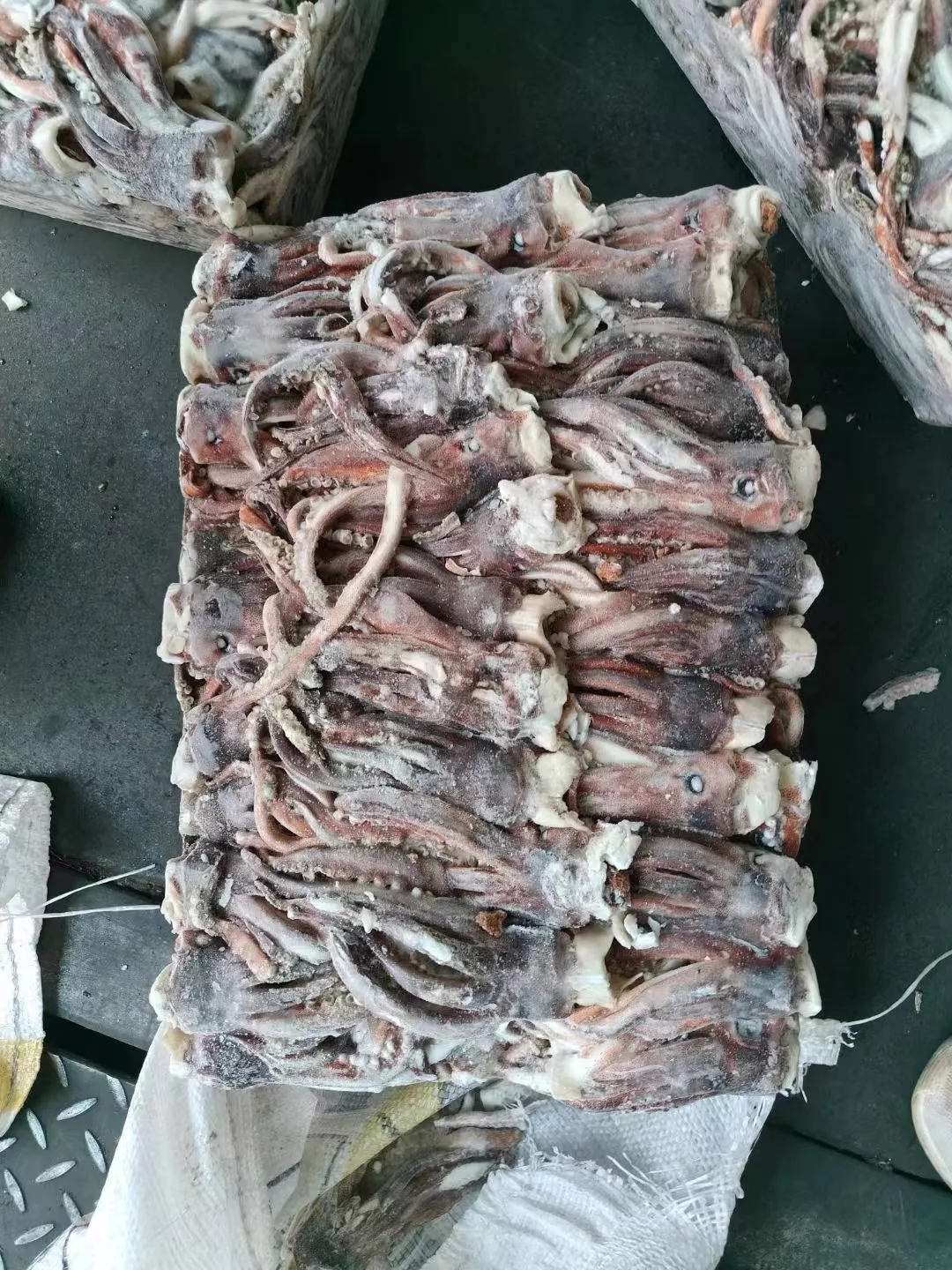 Raw Meat New Processing Calamari Tentacles Material Argentina Frozen Illex Squid Head