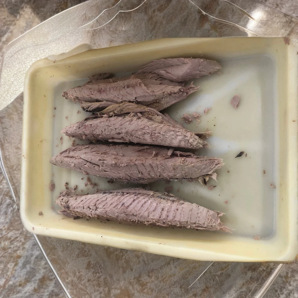 Frozen Bonito Tuna Loin Cooked Fish Fillet in Nature Style Box Bag Vacuum Pack Packaging