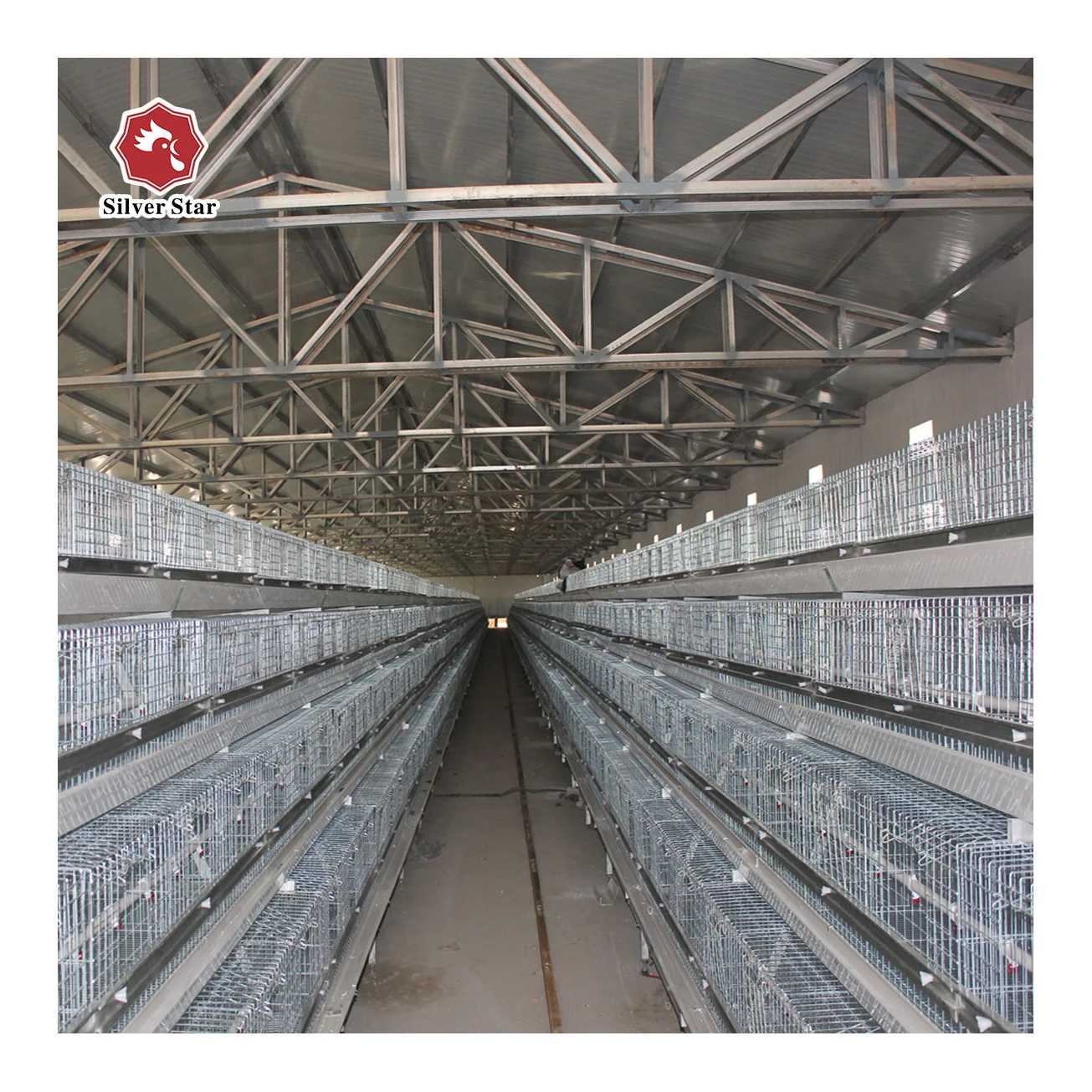 Автоматическая клетка для куриных бройлеров, оборудование для нигерийской фермы