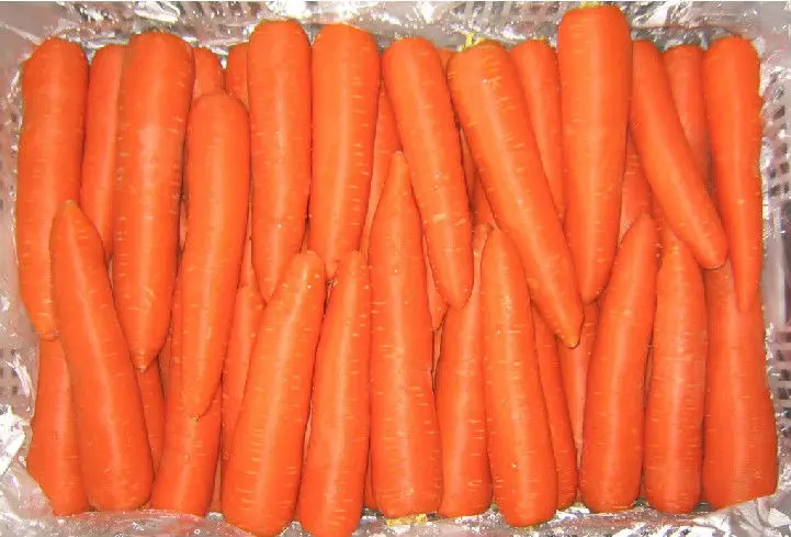 Chinese Hot Sale  Top Grade Low Price  Fresh Carrots