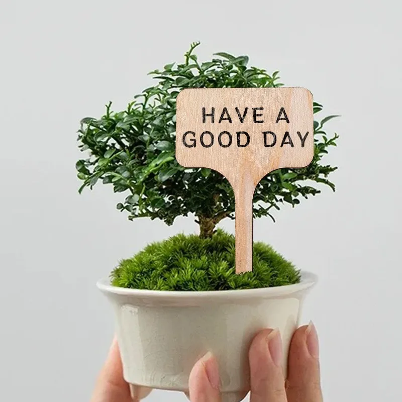 Bamboo Plant Labels, Plant Tags Garden Markers, Wooden Garden Labels for Seeds, Herbs, Vegetables, Gifts