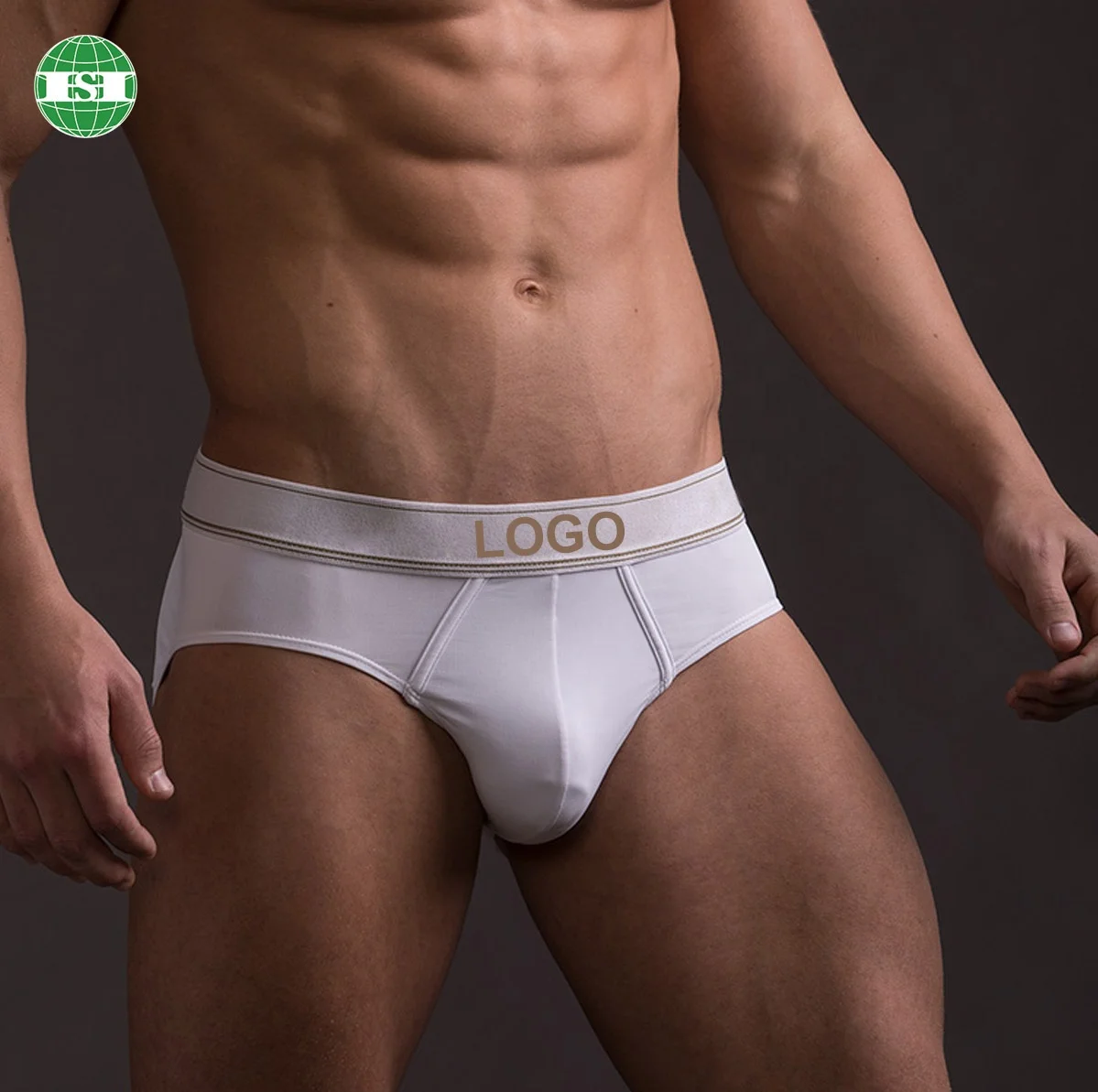 Customized logo waistband luxury mens briefs bamboo underwear for male