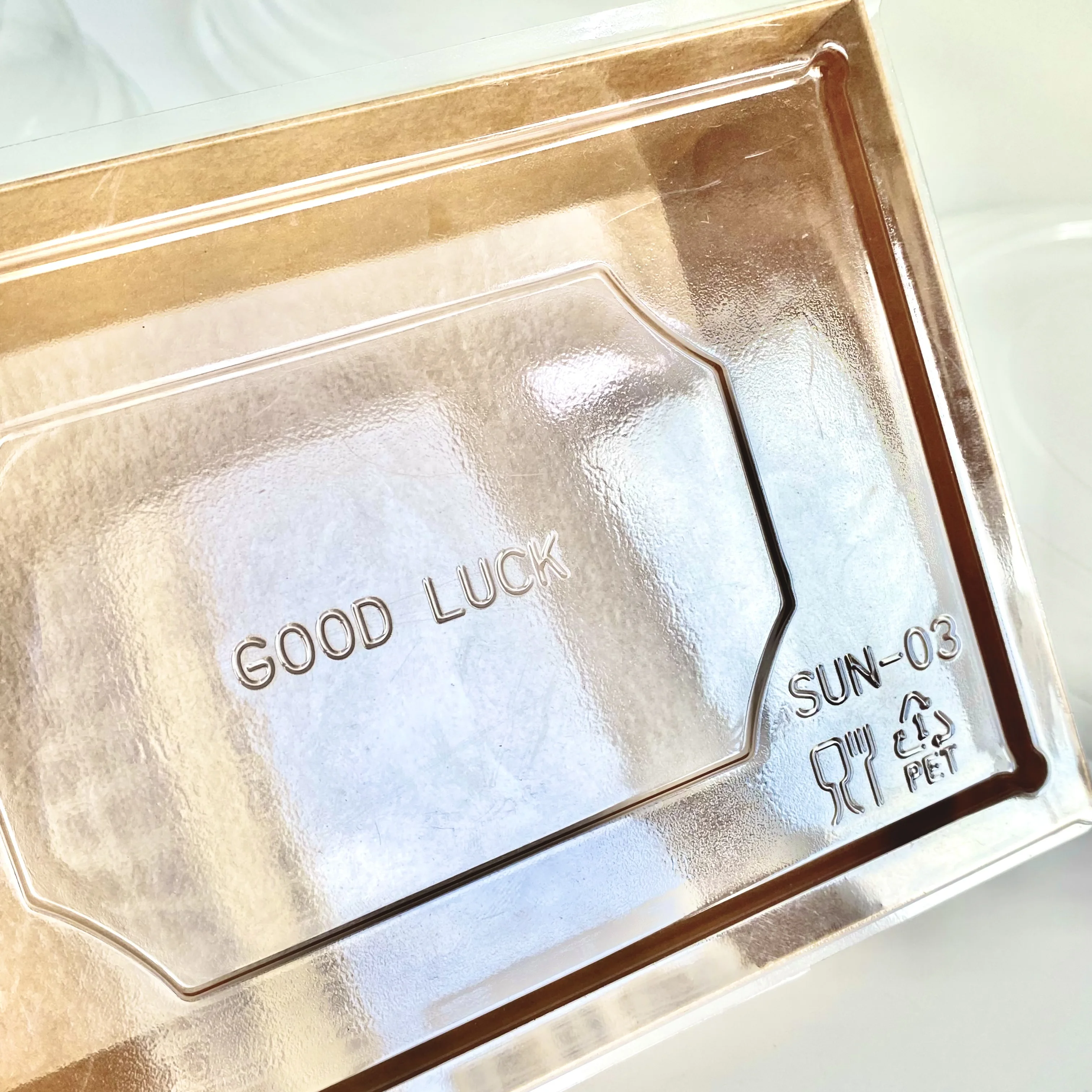 New Design Wholesale Disposable Plastic Bioplastic  Lid PET Cover Salad paper fastfood fry chicken potato box bowl