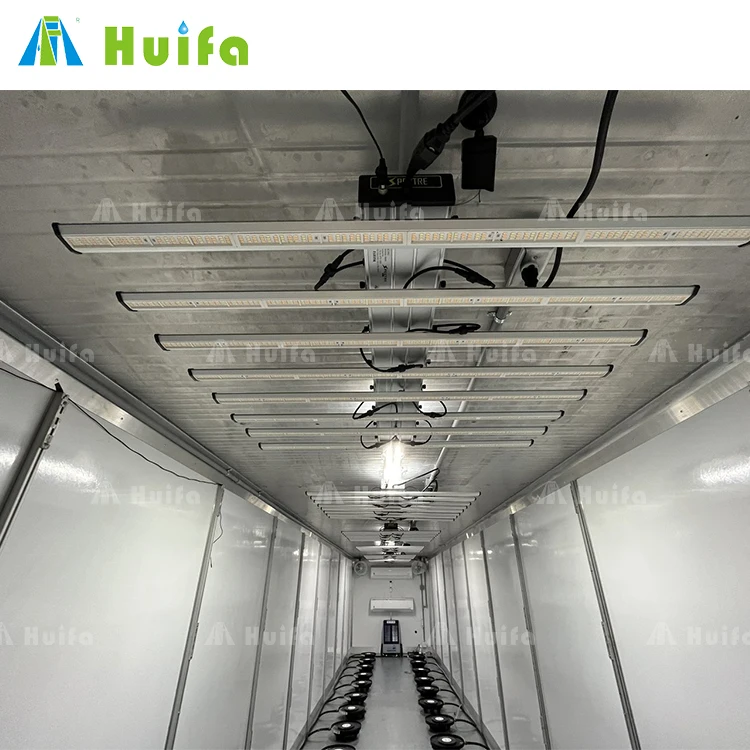 Smart Container Nft Hydroponic Farm Solution Grow House Vertical Farming System 40 Ft Mushroom Shipping Container Farm Rack