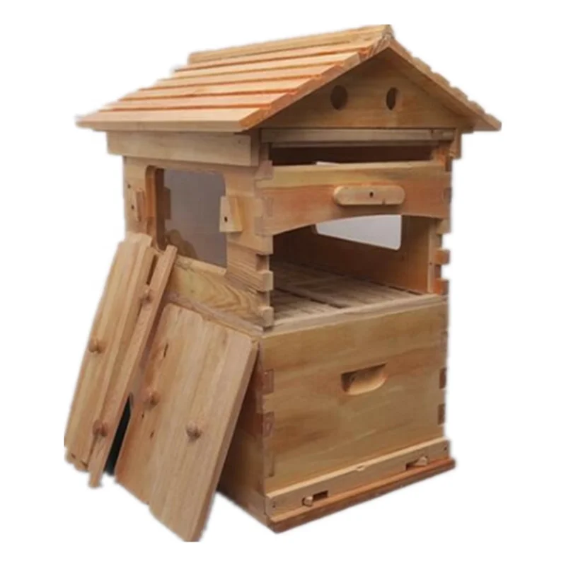 Honey Bee Hive & 7 Auto Frames honey outflow beehive honey comb full set