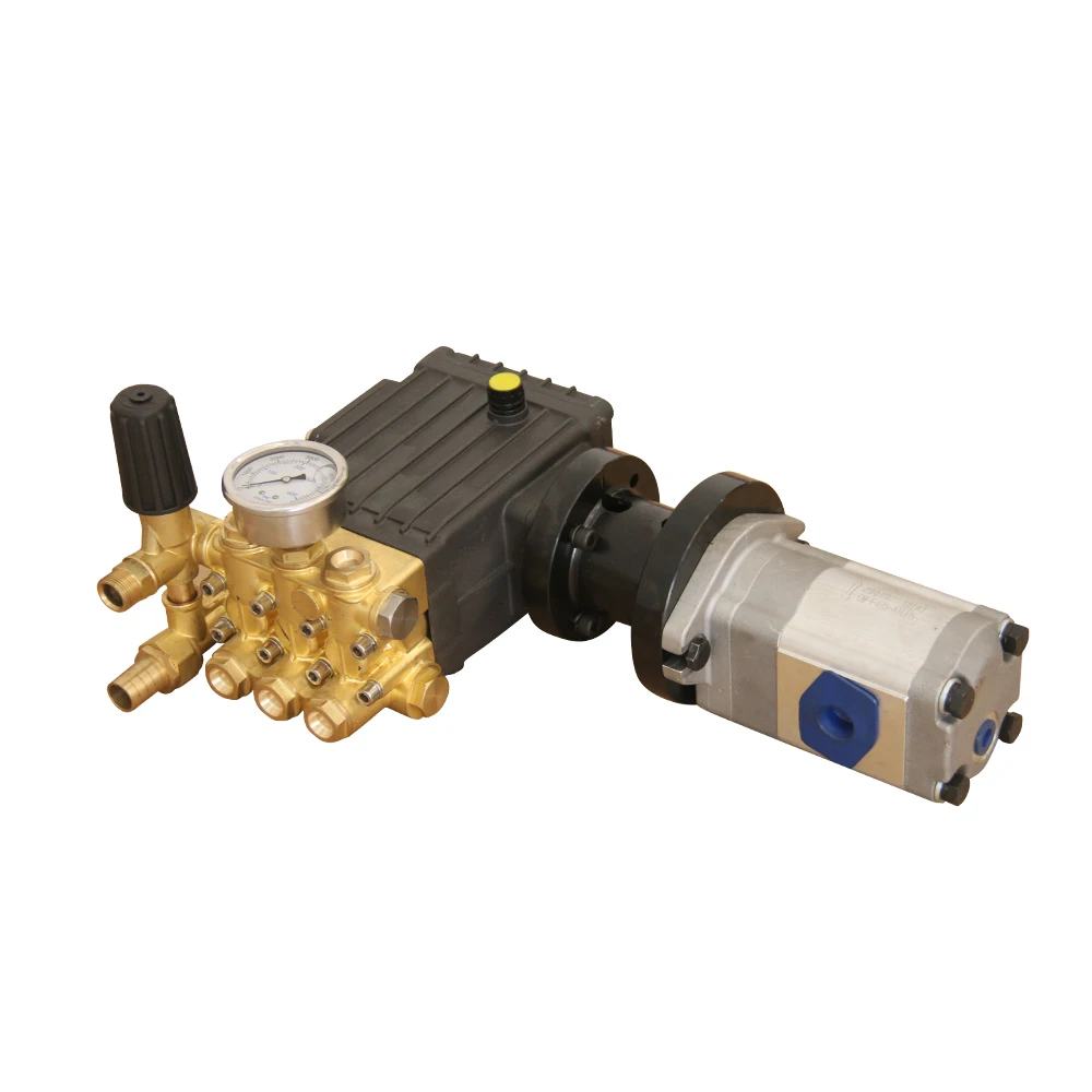 High Pressure Direct Drive Plunger Car Washer Pump With Pressure Switch Price