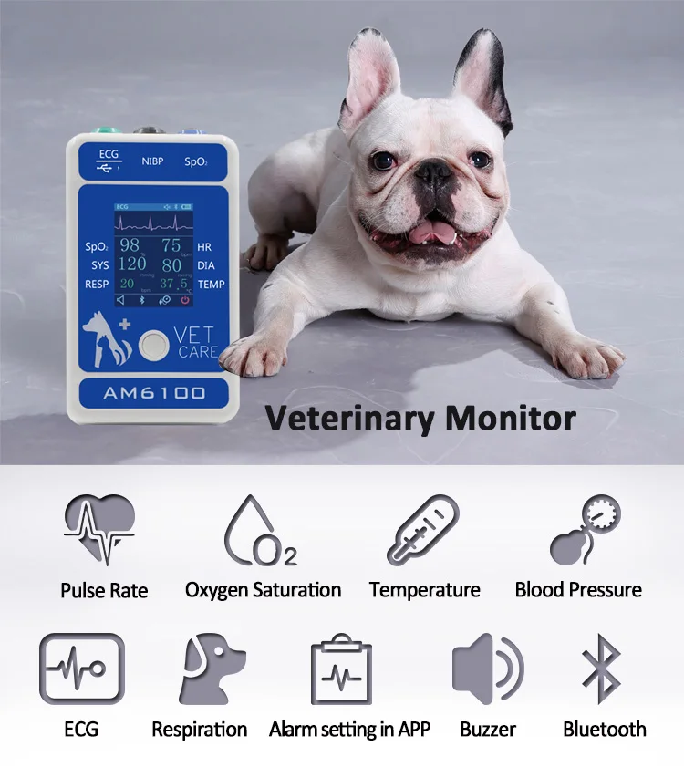 Shanghai BERRY Portable handheld  Veterinary monitor AM6100 cat dog APP health monitor clinical use and home care vet monitor