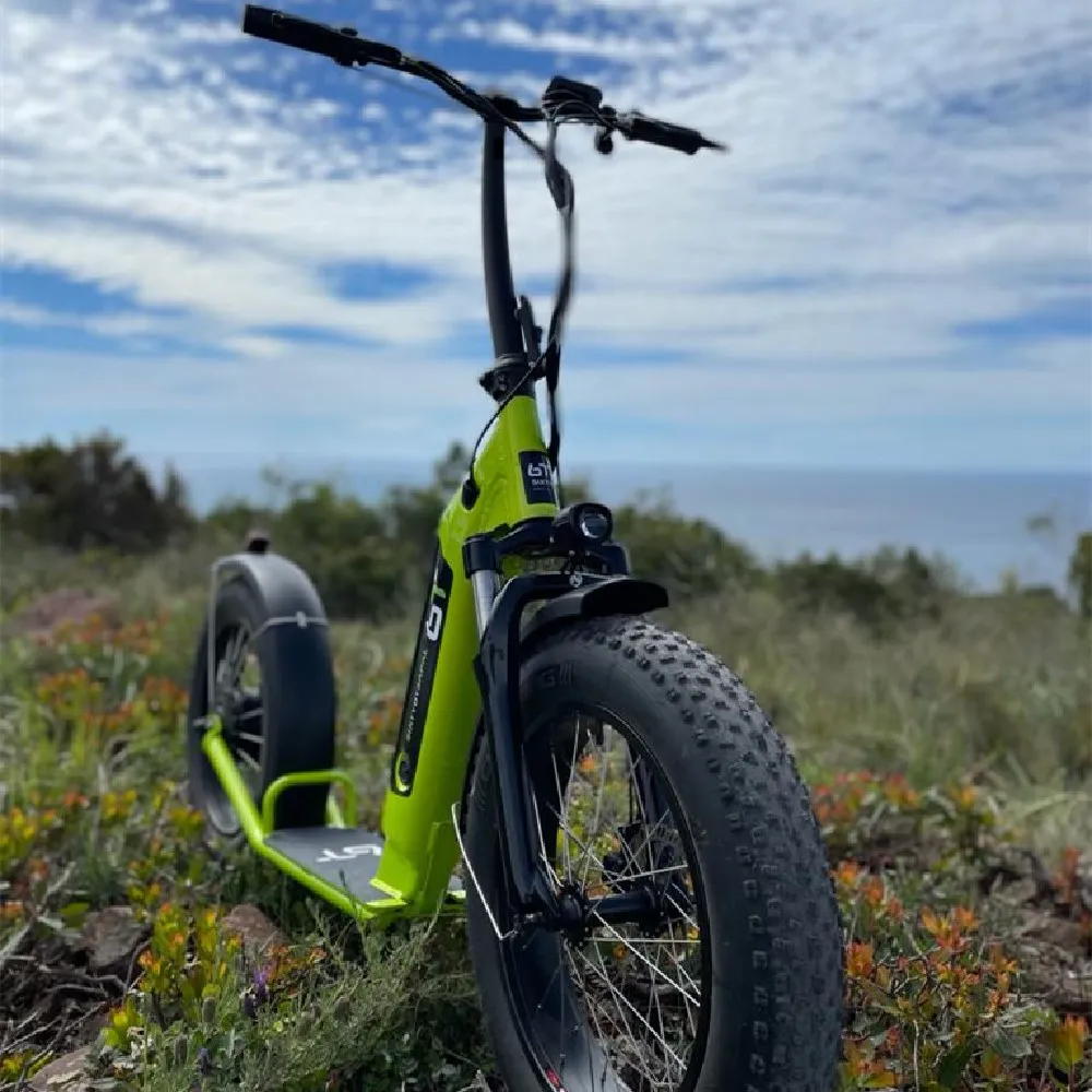  500w Adults Electric Scooter EU Warehouse Escooter 20 Inch Fat Tire