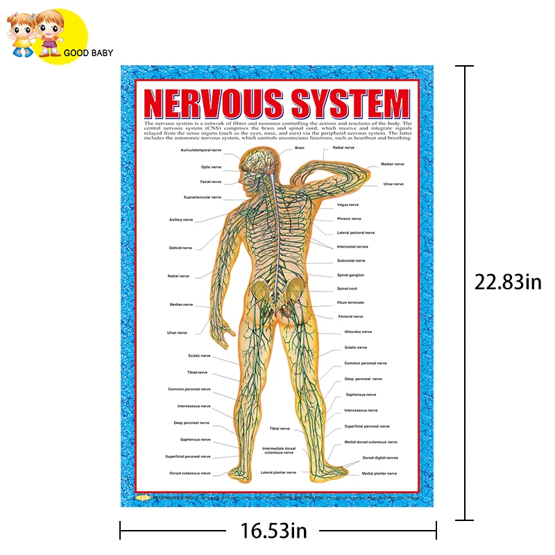 Konle Wholesale educational toys counting numbers from 1-100 learning wall charts for kids