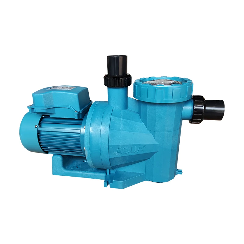 Hot sale swimming pool pump filter filter garden underground portable water pump Astral Variable pump
