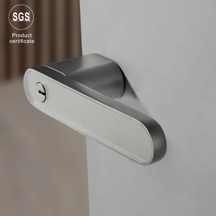 Durable Zinc Alloy Indoor Door Handles Home Decoration Interior Zinc Ecological Door Handle Lock