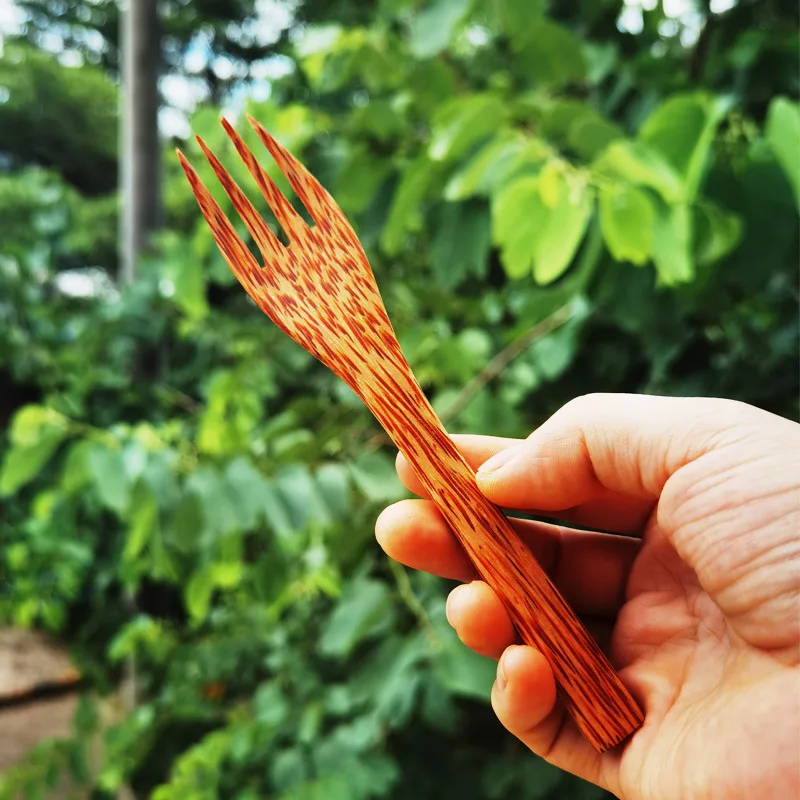 Fancy Coconut Bowl Gift Set Ready Ship Wholesale Mini Smoothie Salad Vegan Soup Organic Natural Coconut Shell Bowl with Spoon