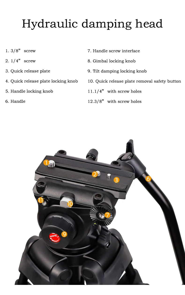 Antcaus Professional 3 Section Aluminum Alloy Video Camera Tripods Kit Video Studio Shooting Camera Tripod With Ball Head