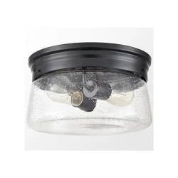 Low Price Industrial Matte Black Bedroom Home LED Lamp Indoor Ceiling Light with ETL ROHS