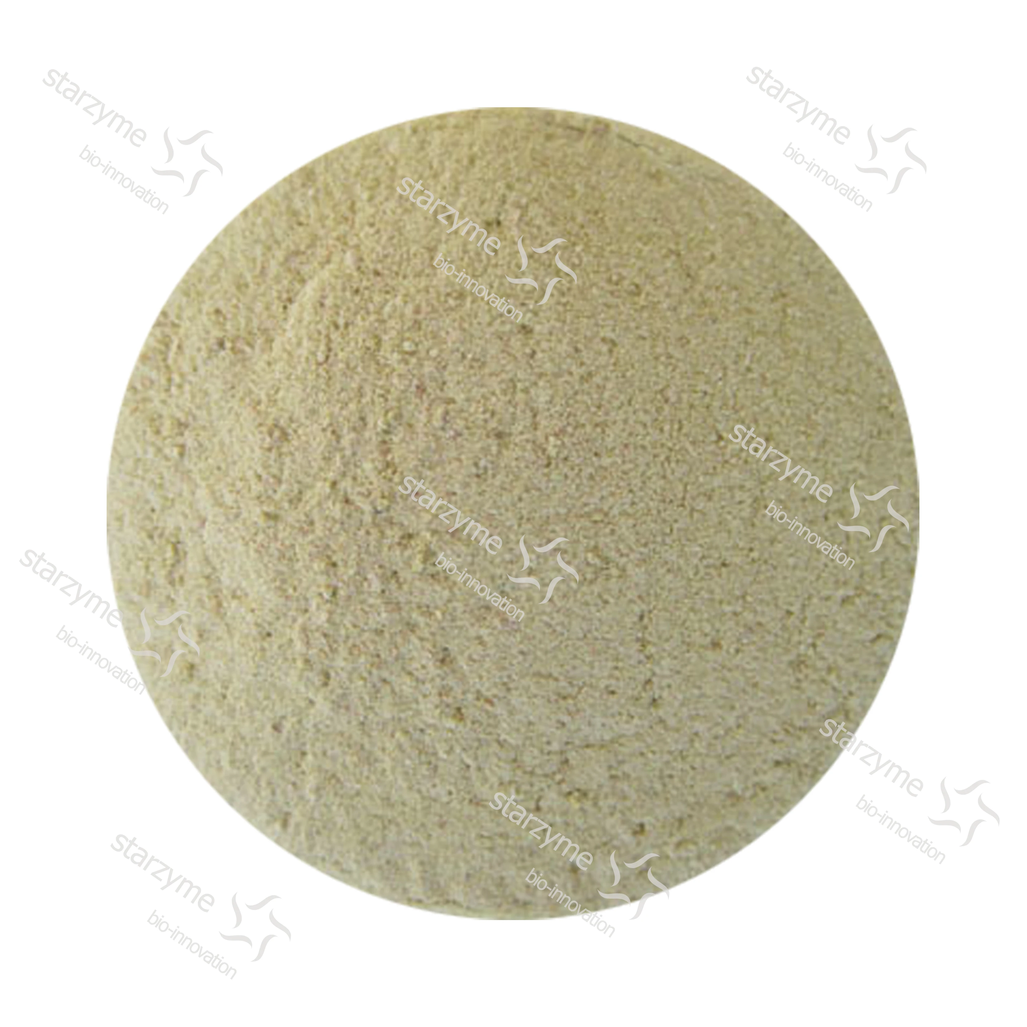 
Feed Grade Beta Mannanase Enzyme Powder Quotes High Content High Purity 