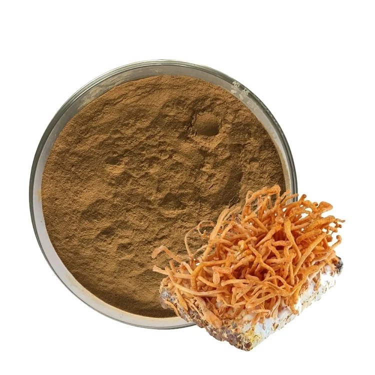 100% Purity water souble cordyceps militaris mushroom extract powder without any added