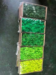 Green moss decorative preserved artificial moss wall custom-made preserved moss wall