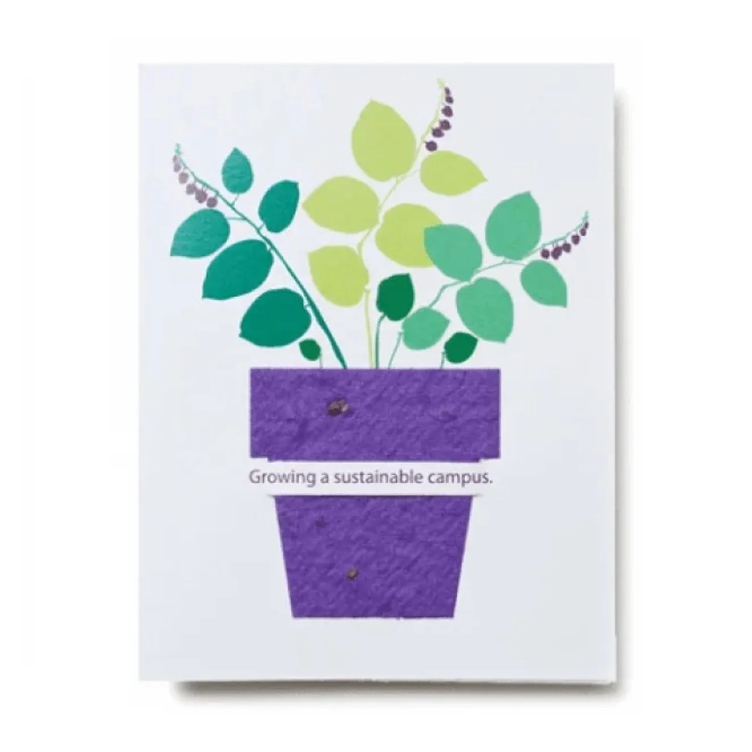 Рекламная бумага для семян на заказ Экологически чистая размером с логотип