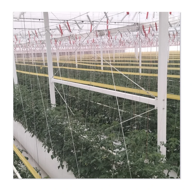 The Phoenix Greenhouses - Rise with Affordability, Durability and Wind Resistance
