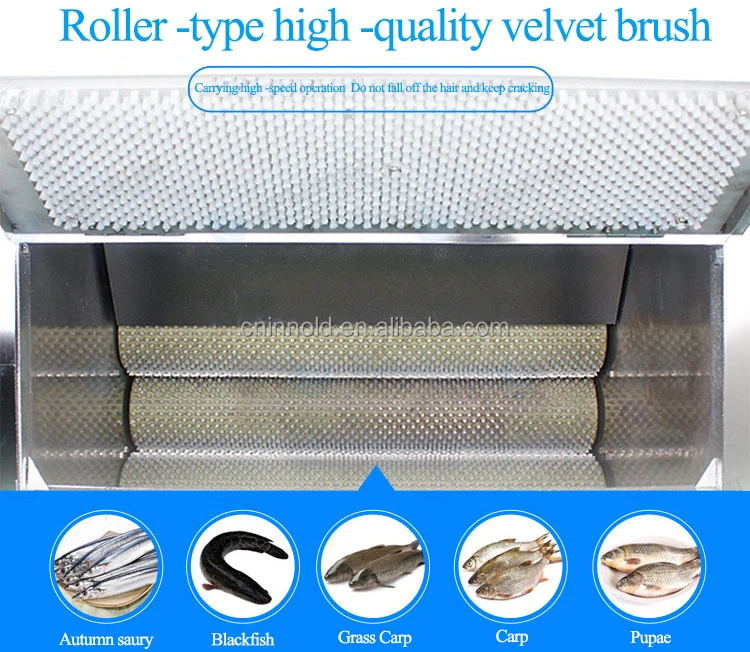 Easy Operation Commercial Remover Fish Scales Machine