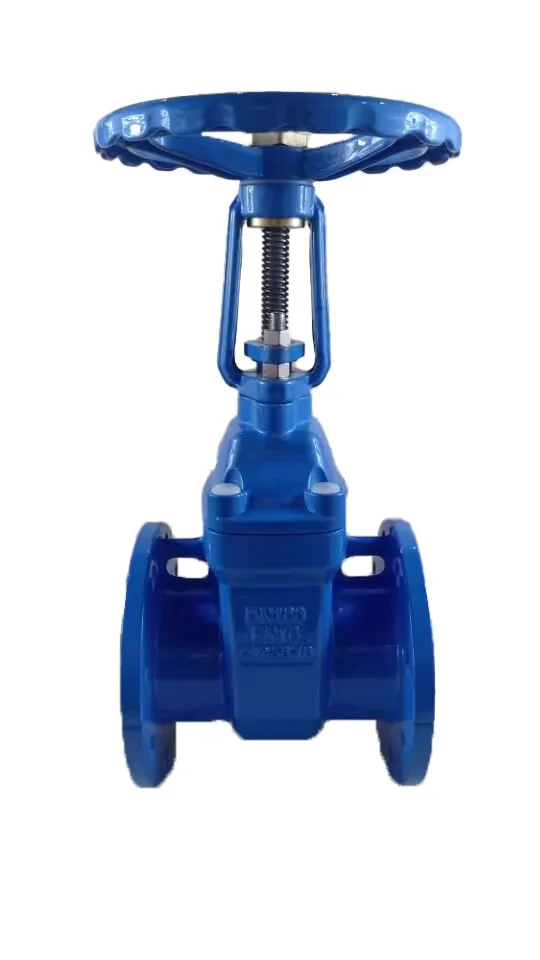 China Manufacturer DN50-DN300 Industrial Valve Cast Iron Ductile Iron Rubber Seal Flange Gate Valve