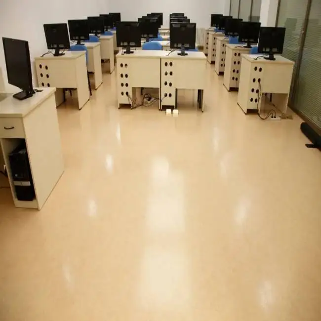 PVC Commercial Industrial Waterproof Floor for School, Hospital, Office