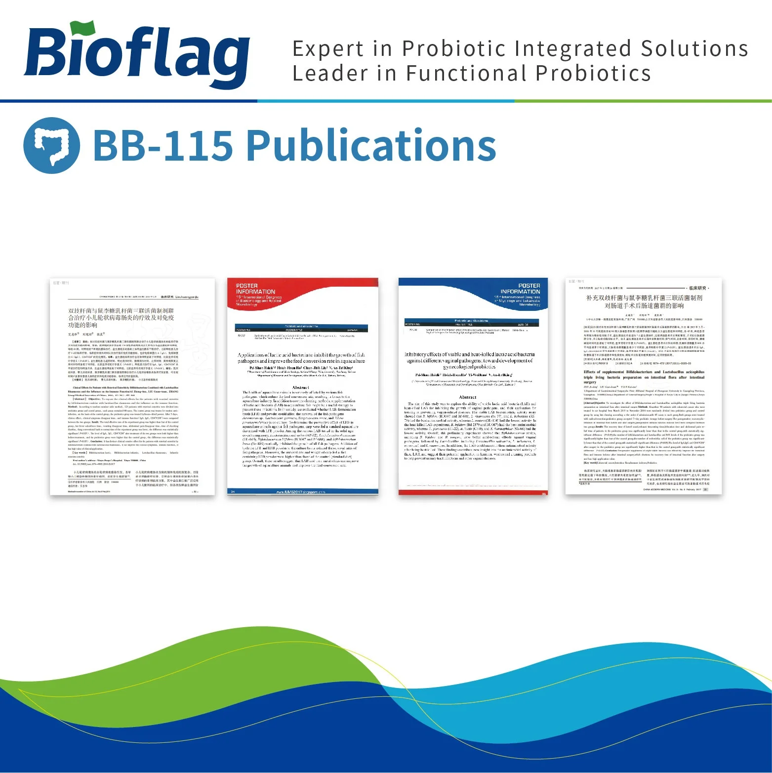 Gut health, IBS and immunity boost  300 billion CFU probiotics Bifidobacterium animalis ssp. lactis BB-115