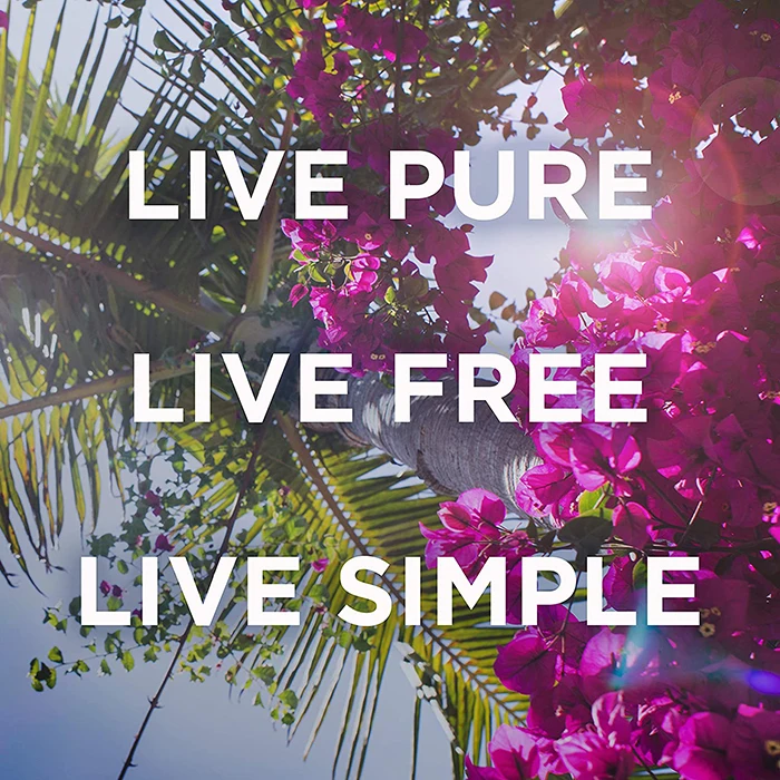 Wholesale 8oz Vegan Natural Moisturizing Body Cream With Raw Mango Shea Butter Body butter Lotion For Unisex