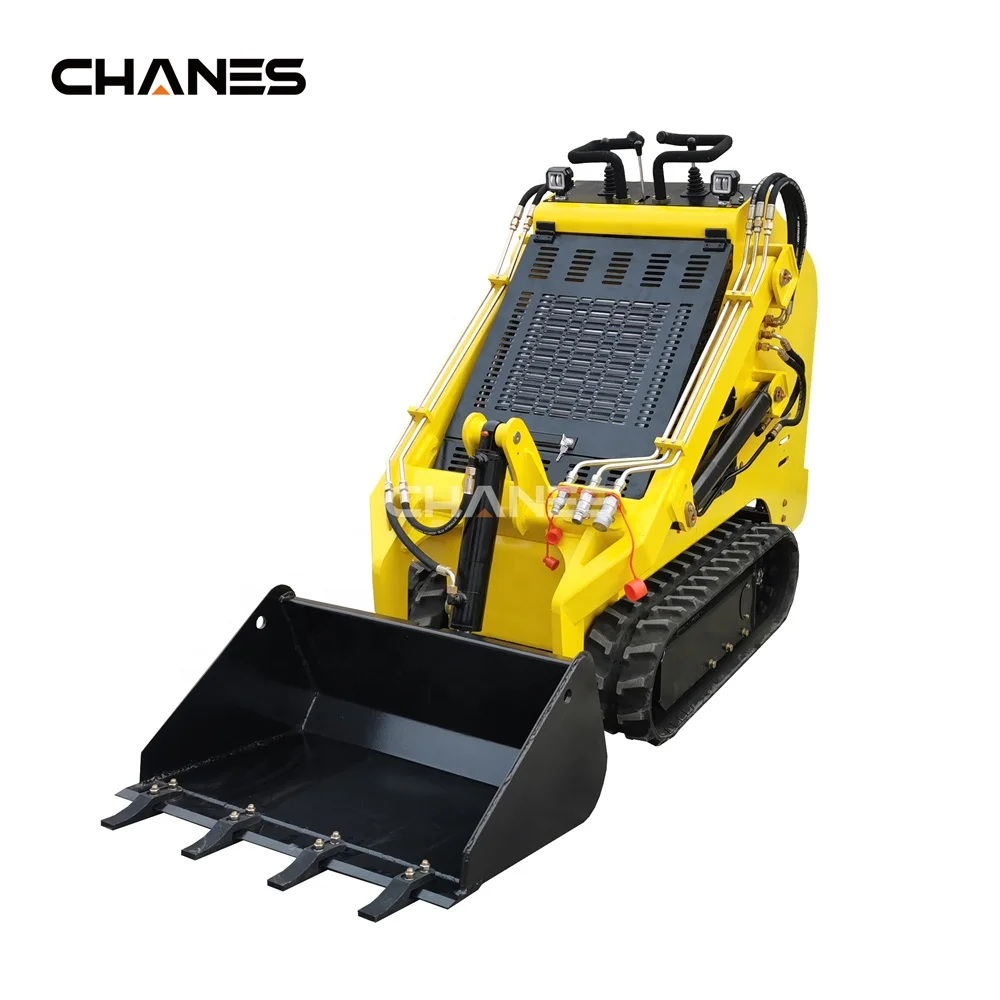 The 2024 hot sale  Gas skid loader  Factory Direct sales free shipping gas loader with B&S EPA engine joysticks control