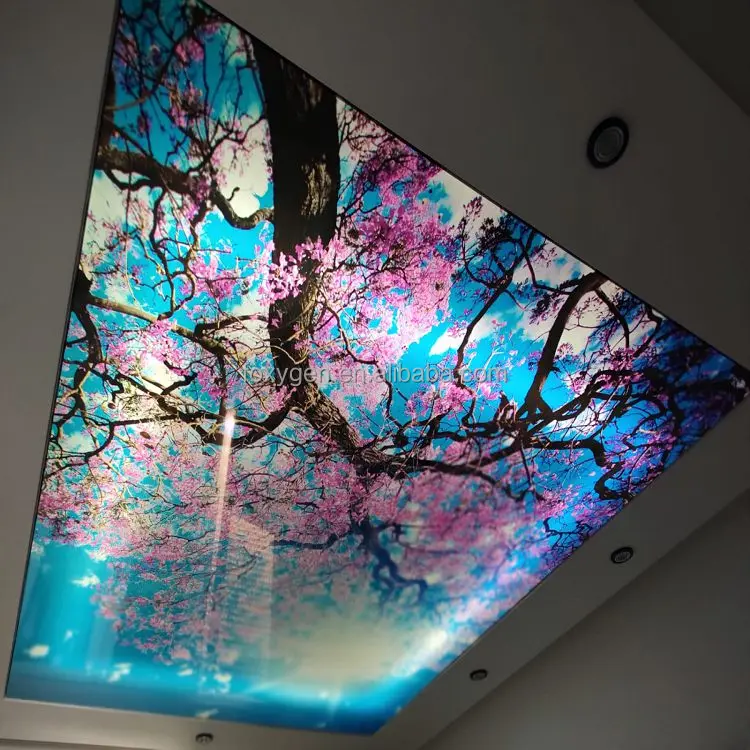 stretch ceiling (2).jpeg