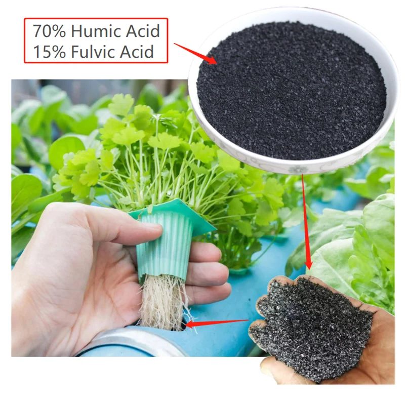 Organic Fertilizer Water Soluble 70% Humic Acid 15% Fulvic Acid Potassium