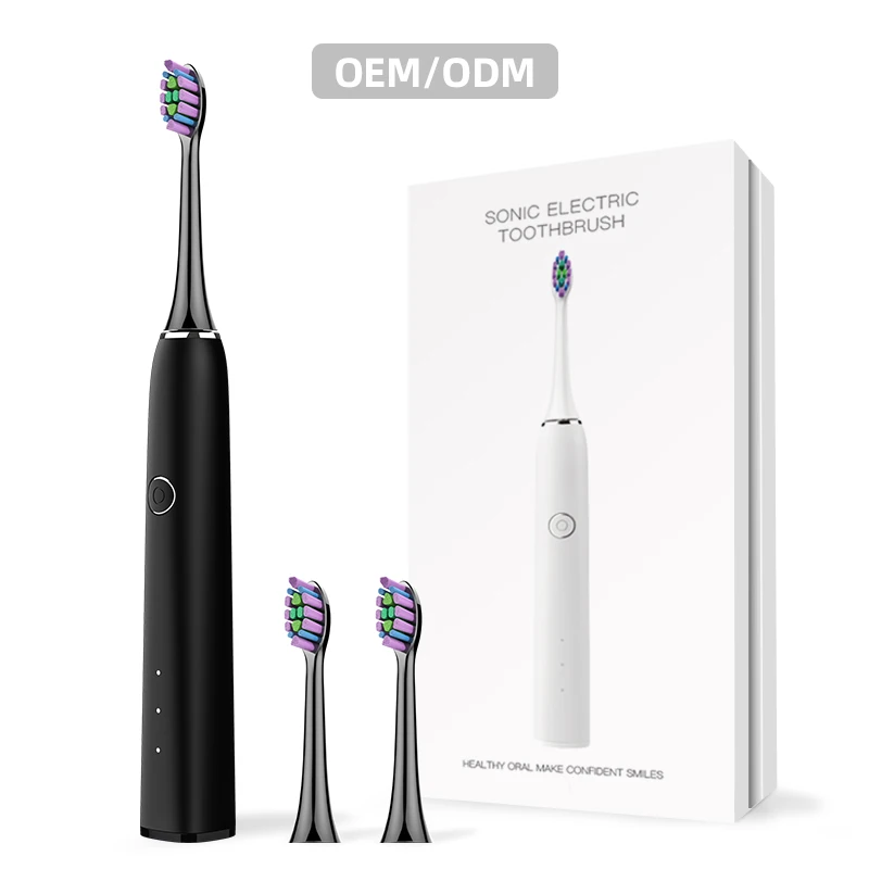 Baolijie Hot Selling Ultrasonic Electric Toothbrush for Adults Travel Toothbrush Electric Toothbrush Private Label Custom