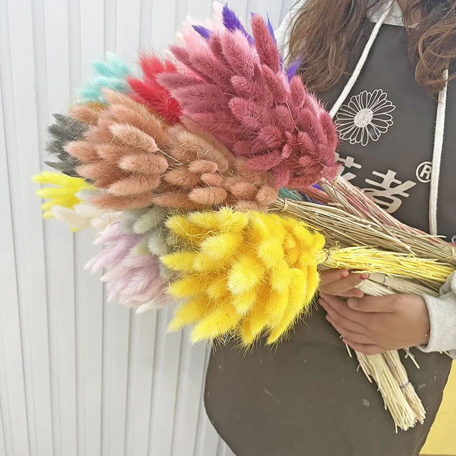 Dried lagurus ovatus bunny rabbit tail grass preserved forever flowers wedding design