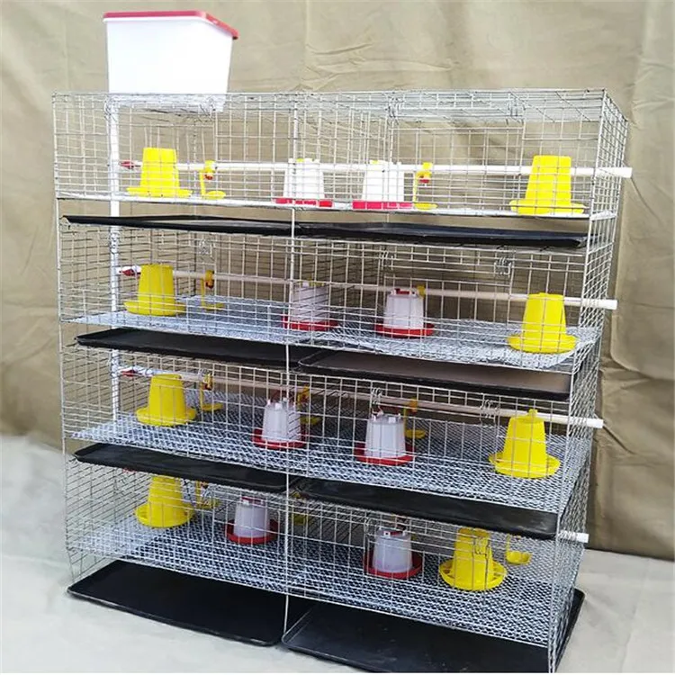 Battery Poultry Chicken Coop Baby chicken House  Animal cages With automatic water supply for chicks