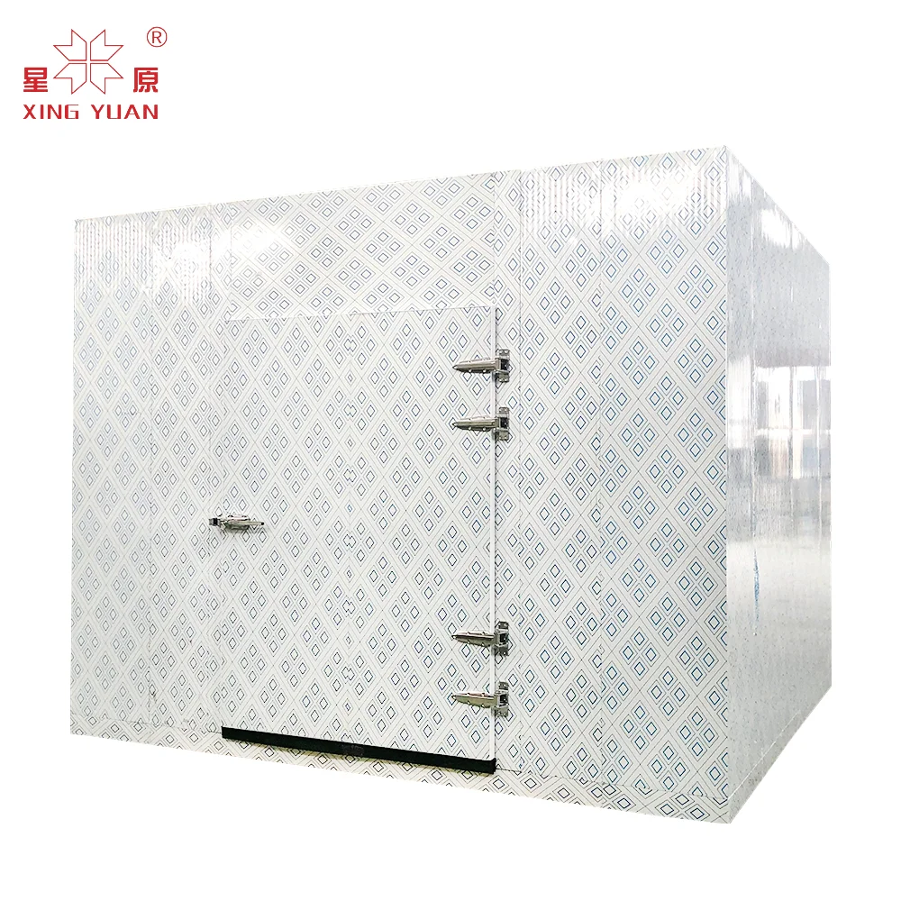 China Factory Supplied Top Quality Blast freezer cold room refrigerator freezer walk-in freezer room