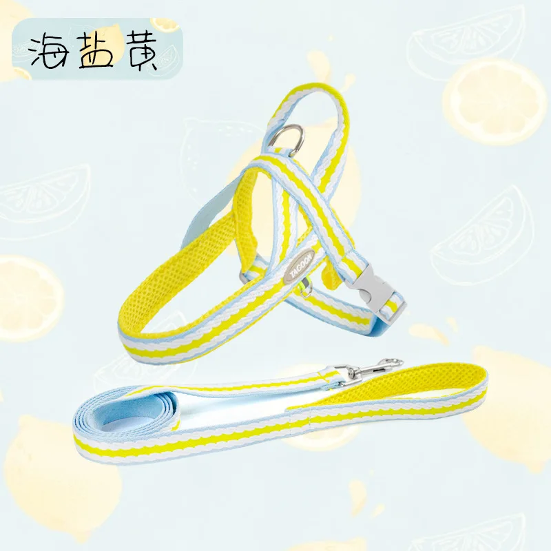 Manufacturer Supplier Zinc Alloy D Ring Breathable Mesh Soft Handle Portable Dog Harness