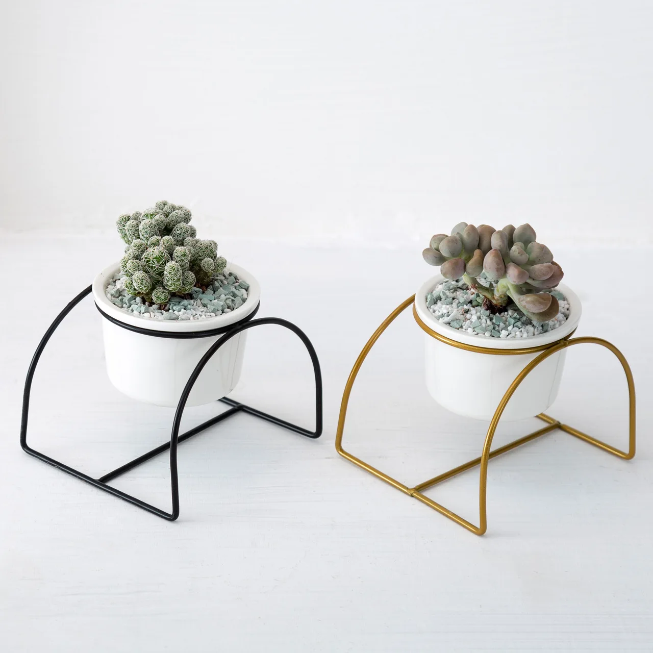 
Nordic simple ironwork ceramic small round pot arched iron frame fleshy ceramic flowerpot INS ironwork set 