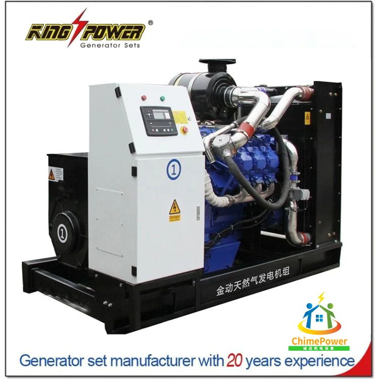 New Factory Quiet Series 200kw Natural Fas Deutz Genset Biogas generator Customized Energy-saving Top Quality Economic genset