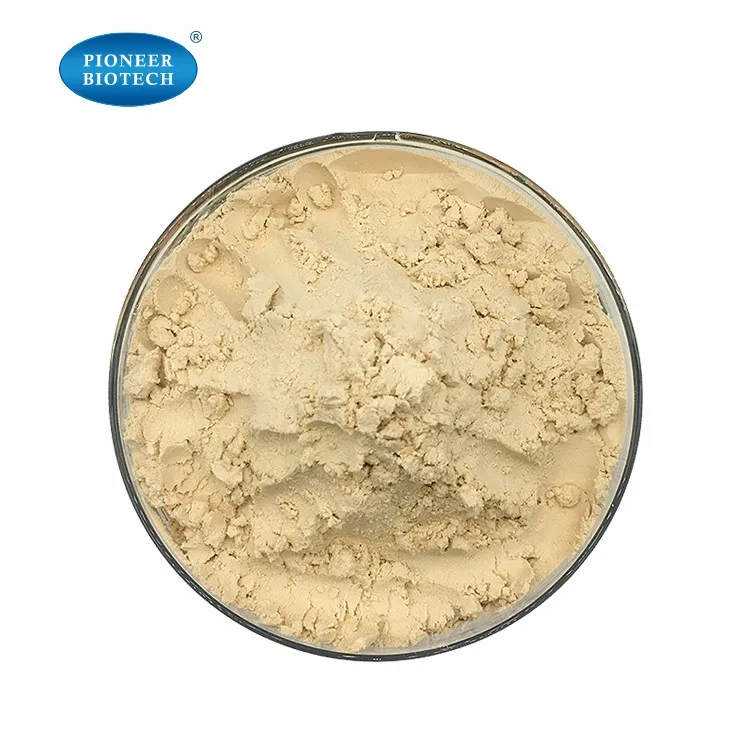 Factory supply top grade hemp seed extract hemp seed  protein powder