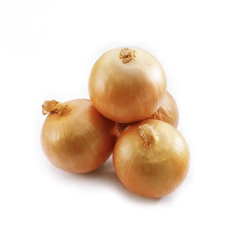 Fresh Onion Prices in India  Fresh Yellow Onion Importers in India Trade Fresh Bulb Onion