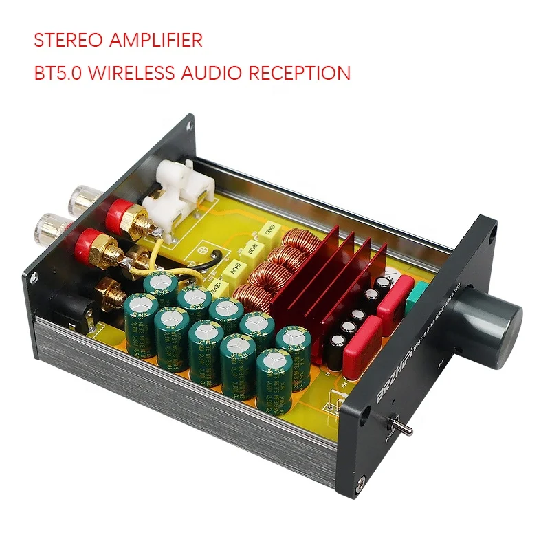 BRZHIFI Audio 50B 2.0 Stereo Digital Power Amplificador BT5.0 TPA3116 HIFI Enclosure Faceplate Amp 50W*2 Mini Amplifier Board