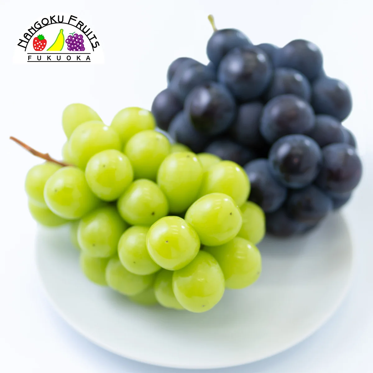 Оптовая продажа, выращивание по разумной цене, сбор виноградного вкуса