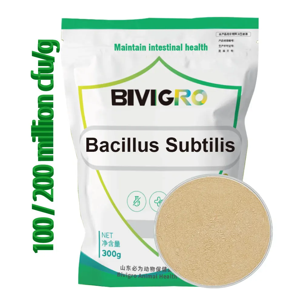 Well Selling Probiotic Aquaculture Bacillius Subtilis Bacillus Licheniformis for Shrimp Fish Pond Water Treatment