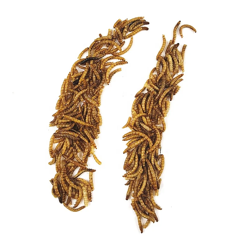 Mealworm желтый mealworm с высоким содержанием белка птица черепаха хомяк специальная закуска червь высушенная еда
