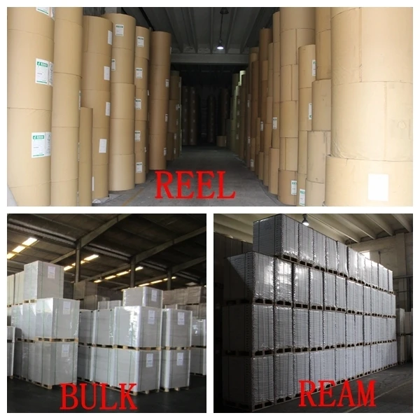 
Offset Art Print Paper Raw Material Couche Roll Paper 