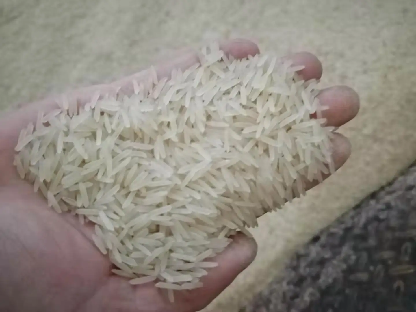 Нигерийская мини-сортировочная машина для риса